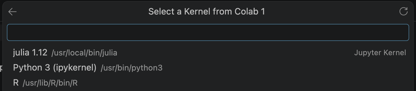 The new Colab server's kernel list: julia 1.12, Python 3 (ipykernel), and R